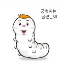 새해의 첫 기적 이미지