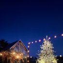 아미리1.9 이미지