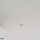 주은세탁 이미지