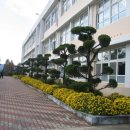 금성여자상업고 이미지