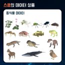 주식회사 스쿱 이미지