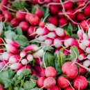 봉두농장 이미지