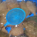 대천항로 이미지