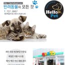 제주 헬로우펫 이미지