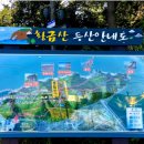 24년 12월 송년산행(충남 서산 황금산 + 몽돌해변 코끼리바위) 이미지