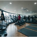 고구마 휘트니스 이미지