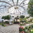 솔향수목원(전시온실) 이미지