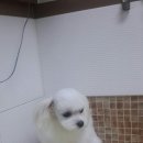 박한준종합동물병원 이미지