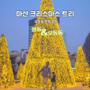 서리풀문화광장3 | 마산 창동 크리스마스 트리 위치 오동동 문화광장 주차 주말방문후기