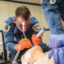 주식회사 달구 이미지