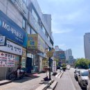 병아리 상점 이미지