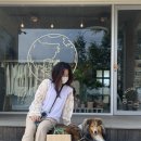 리담헤어 - 전주시 완산구 서신로 102-1 | 리담헤어