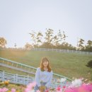 임실치즈테마파크2 이미지