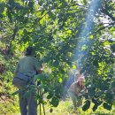 성장농장 이미지