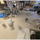 꿈꾸는 강아지 이미지