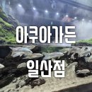 [아쿠아가든 일산점] 세계최대아쿠아카페, 아쿠아스케이프, 일산카페