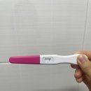 [👶🏻 : 임신준비] 8개월차 자연임신시도 후기(배란일증상,배란기,추어탕,피곤함,얼리임테기)