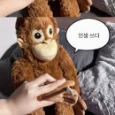 [미래내일 일경험] 브랜드디자인 프로젝트 후기 (2) - 팀프로젝트 + 수상 🏆