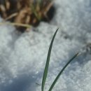 가마솥설렁탕 이미지