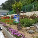 포항시북구70 이미지