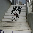 퍼피홀릭 제주 이미지