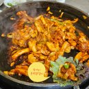 청주 닭갈비 유목민 부부가 정착한 현지인맛집, 육거리춘천닭갈비 후기