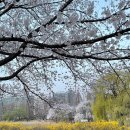 해랑한의원 이미지