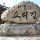 입석1구 티스토리