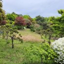 태안공인중개사사무소 이미지