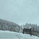 [삿포로여행] 3박4일 일정 2일차(2) : 나만알고싶은 온천 백은장 후기 렌트카 강추🤍 닝구르테라스까지♥️