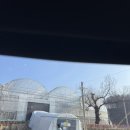 녹지농장 | 경기도 겨울 아기랑 실내 갈곳 추천｜딸기체험 농장 후기