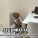 광주전자공업고등학교카뷰티샵 | [진주] 가좌동 진주역 속눈썹펌 맛집 &#39;뷰티앤모모&#39; 후기