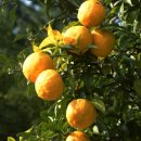 설천면보건지소 이미지