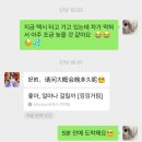 레드블렌 | 上海游记 (1)