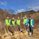 꿀벌목장 이미지