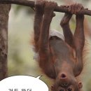 분명 나는 시험이 끝났는데 왜 또 시험기간..?