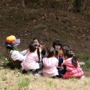 대원유치원 이미지