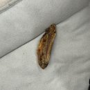 개편하개 이미지