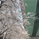 삼락강변공원 이미지