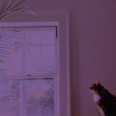 건강한 집밥 만들기 이미지