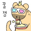 나니아 플스방 이미지