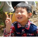 남이초교 병설유치원 이미지