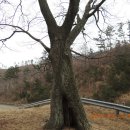 팔봉중학교 이미지