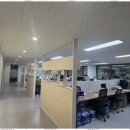 서화세무회계 | 강동구기장 믿음직한 파트너, 서화회계법인과의 협업 후기