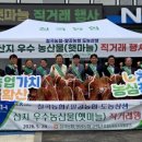 강동농협 하나로마트 로데오점 | 『팔공농협』산지 우수 농산물(햇마늘) 직거래 행사