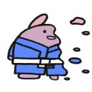 본주짓수화성남양