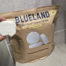 블루랜드 | 블루랜드 변기 세정제 코스트코 추천템 내돈내산 리뷰