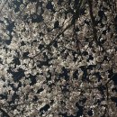 도림천 산책로3 이미지