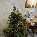 떡보의하루수성점 | [대구카페] 상동 다홍연화 내돈내산 떡케이크맛집 설기케이크