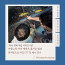 한빛지역아동센터 | 아이 경제 자립 시리즈 5편, 아동수당 아이 계좌로 옮기는 법 + 연저펀으로 미국 ETF 첫 매수 후기